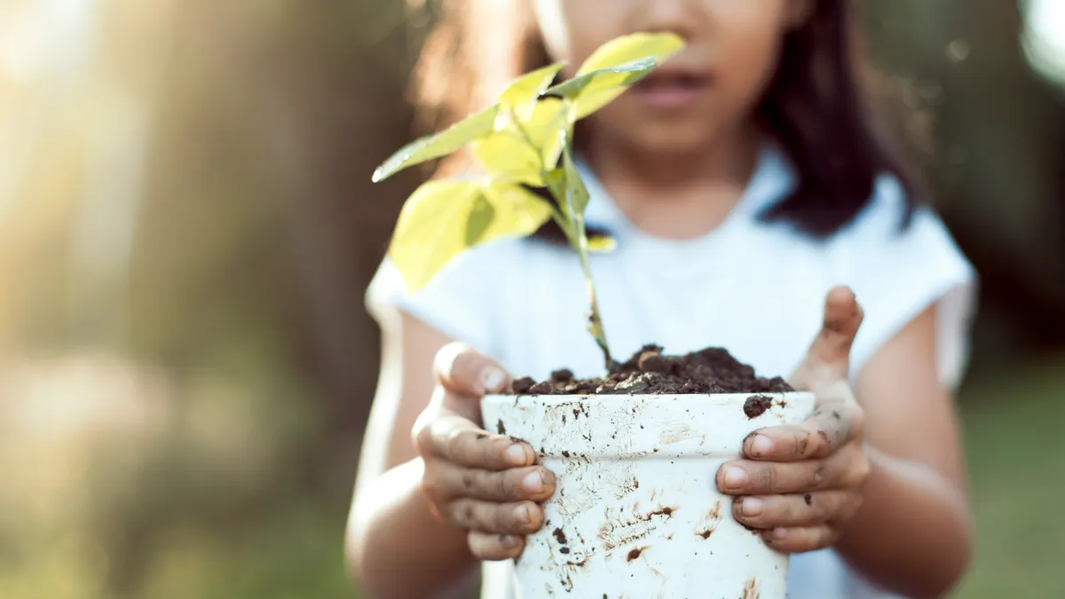 A child in a white shirt holds a dirt covered white pot. A green plant emerges from the soil.