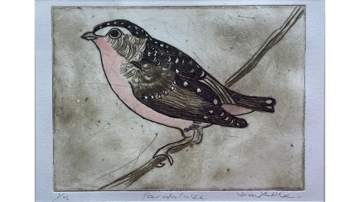 Print etching of a small bird perched on a slender branch. Fine black linework and soft grey and pale pink tones define the feathers, with white spots marking the wings and head.