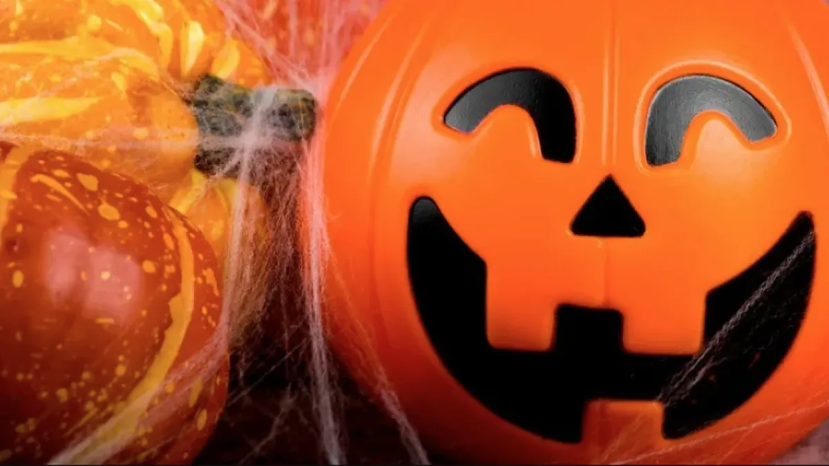 Close-up of Halloween pumpkins and a jack-o'-lantern decoration surrounded by decorative spider webs.
