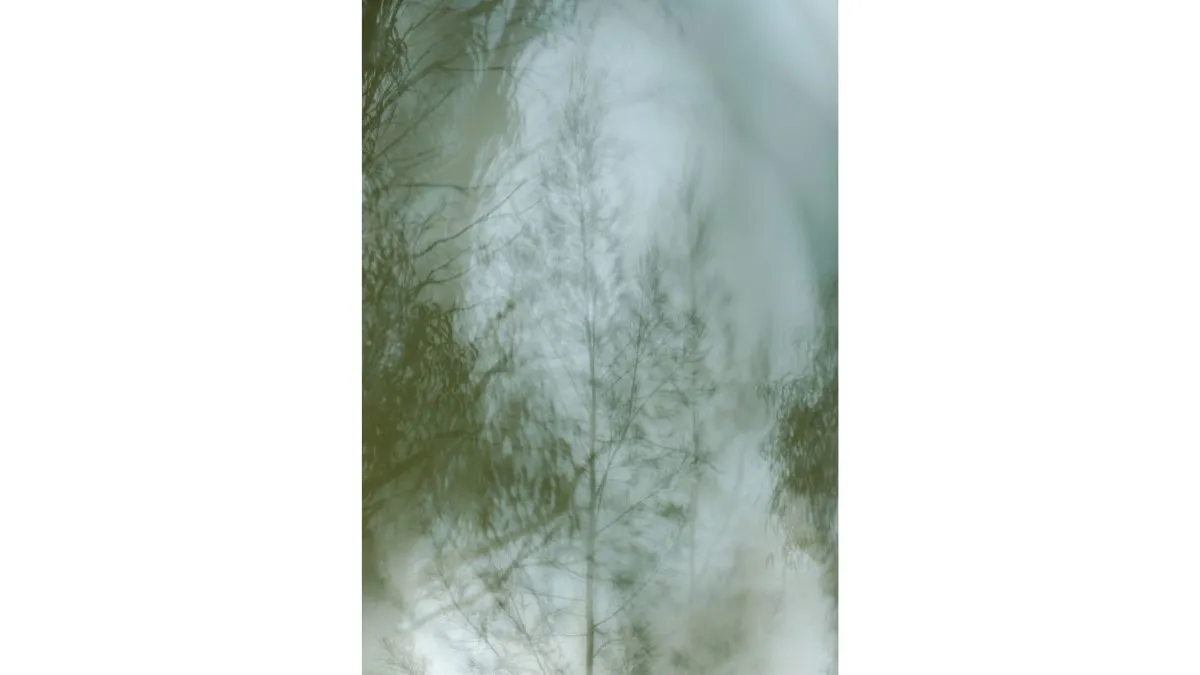 Soft-focus photograph of a tall, slender tree centred in the frame. Fine branches extend upward against a pale grey sky. Blurred green foliage partially obscures the tree from the left, right, and foreground, creating multiple layers of vegetation. The image is dominated by muted green and grey tones.