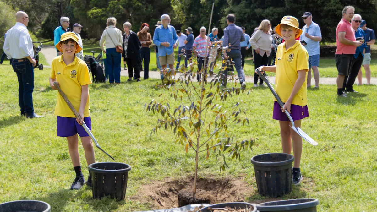 Two children with shovels stand beside freshly planted saplings