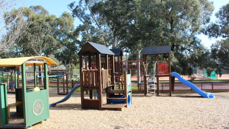 Image of Deepdene park playground
