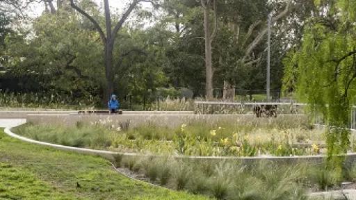 Grace Park raingarden