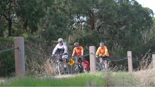 Yarra Bend cyclists