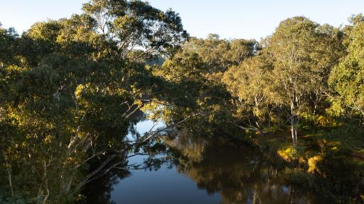 View of the Yarra River at Yarra Bend Park 