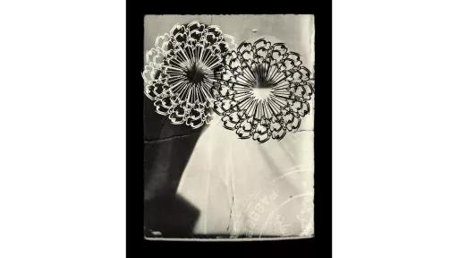 Image of the artwork House Habit Manzel by the artist Nasim Nasr