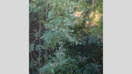 A landscape oil on linen piece by Joe Blundell called Sunset through bracken