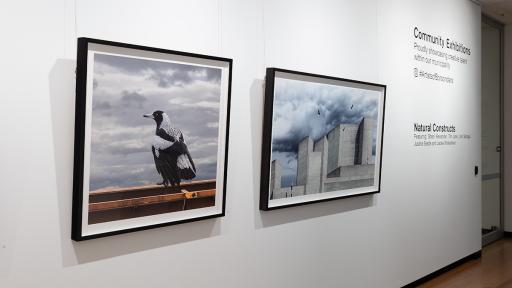 Photographs by Jackie Winkelman, one featuring rectangular grey concrete buildings, the other a magpie sitting on steel railing.