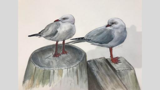 Watercolour painting of seagulls standing on wooden railing.
