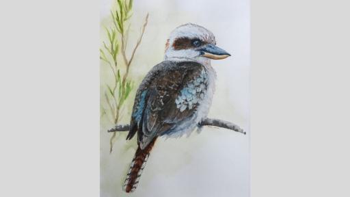Watercolour painting of a kookaburra sitting on a branch. It has it's back to us and is looking to the side.