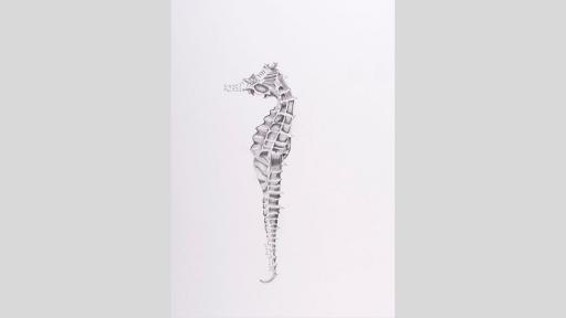 Ink drawing of a seahorse.