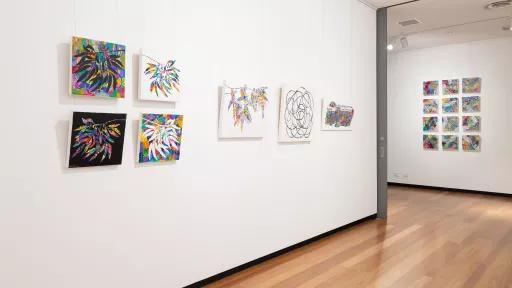 Installation view of Working Under the Shadow of Happiness