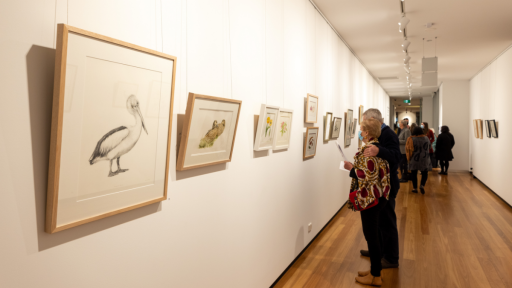 People viewing an exhibition of wildlife drawings.