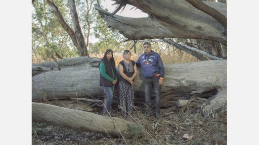 Two women and a man standing in front of a large fallen tree