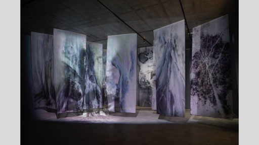 A large exhibition space with large hanging pieces of material covered in images of trees and foliage