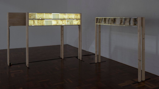 An exhibition space with 2 wooden stands, one that is backlit and one that is not, both displaying small pieces showing laser etched and worm eaten paper