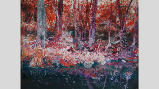 A forest with the foliage in bright reds, whites and purples next to a slow moving river