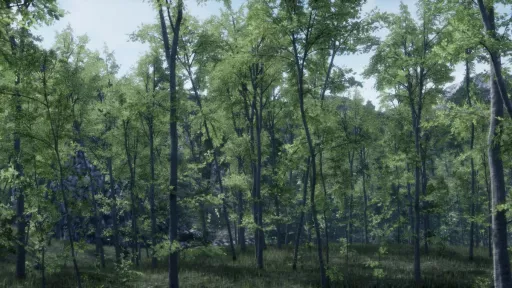 A forest of young thin trees with green foliage and cliffs in the background