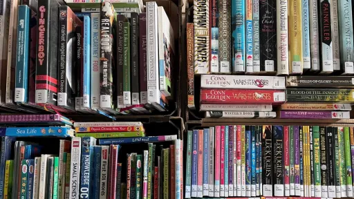 Different types of books stacked in rows across a surface