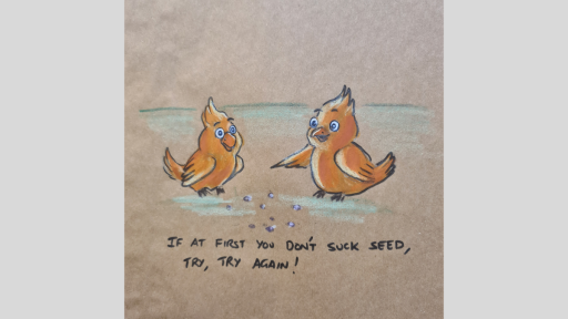 A drawing of two birds eating seeds, and one is saying to the other 'If at first you don't suck seed, try, try again!'