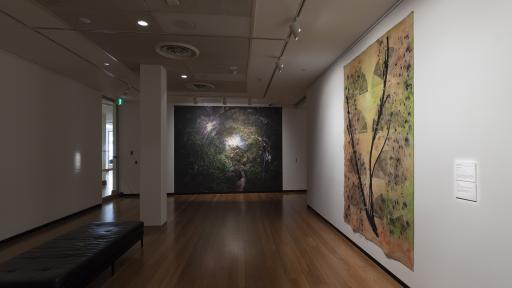 The exhibition space for Above the Canopy, showing a large gallery room with two pieces of art on the walls, one showing a large branch with fire danger rating signs behind it, and the other a forest looking up from the forest floor to a gimpse of sky above with foliage surrounding