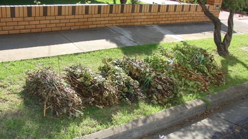 6 piles of tree branches bundled together on a nature strip