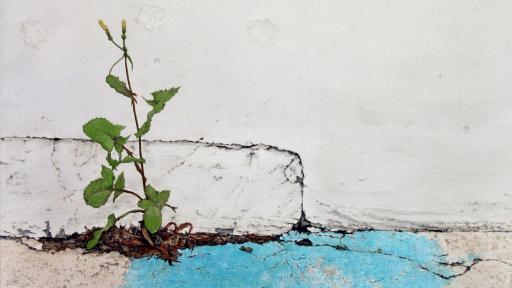 A painting of the point where concrete floor meets a concrete wall, with a large blue square of paint on the ground and a small weed growing out of the place where the wall and floor meet