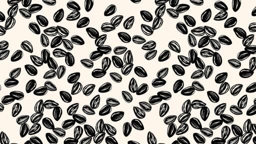 A close up of a black on white repeated pattern of small sunflower seeds