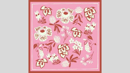 Flowers in white and red on a pink square background with a red border