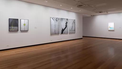 paintings on the wall of an art exhibition