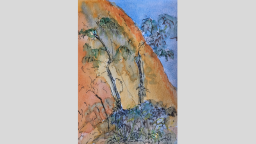 A coloured sketch of some thin trees with a backdrop of a red dirt mountainside