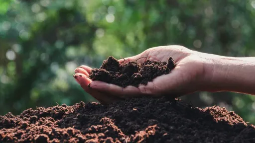 A hand close to the ground holding some fresh soil