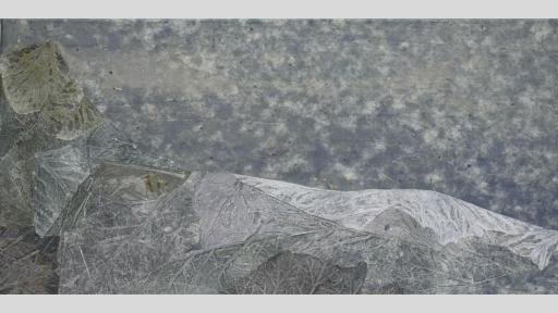 Collage of an icy landscape against a snowy sky