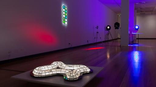 Long thin rectangular art installation space with an illuminated black and white worm-like sculpture in the foreground.