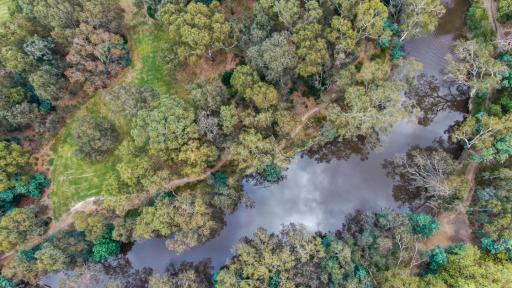 Looking down on a river that is reflecting the sky, surrounded by green trees and bushland
