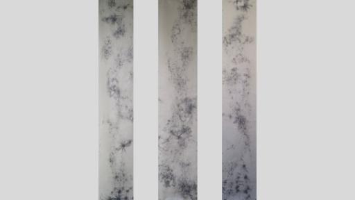 An artwork in 3 vertical strips, showing dark buise-like patterns of marks and lines across a pale surface