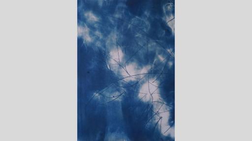 An artwork featuring a canvas in shades of blue to white, that depict eractic dark stokes across the canvas