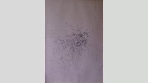 An artwork showing thin dark eratic penstrokes on a white canvas, increasing toward a single central area
