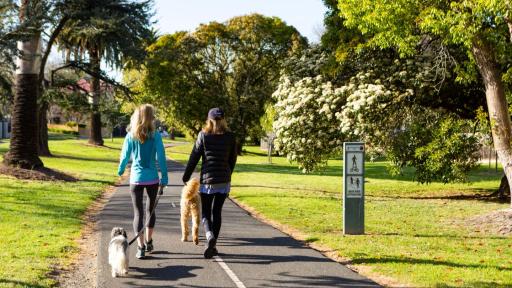 Two people walking their dogs down a path in a park with greenery on either side