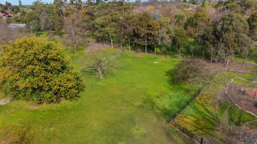 Aerial view of grass area with large green tree to the left and three scattered smaller trees with no leaves. There is a playground to the right and a footpath and trees in the distance.