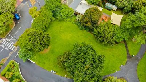 Aerial view of small grass area with scattered green trees. There are footpaths to the right and bottom and a road with a pedestrian crossing to the left.