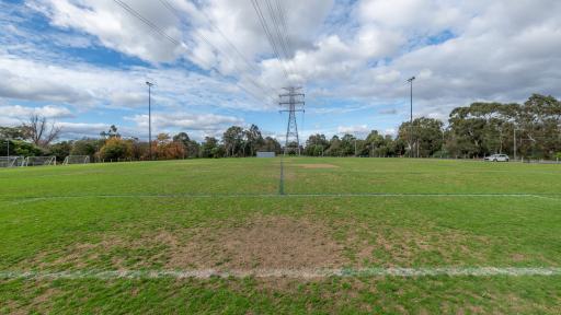 Side view of soccer pitch with white boundary line visible at the bottom. There are tall trees and an electricity tower in the distance.
