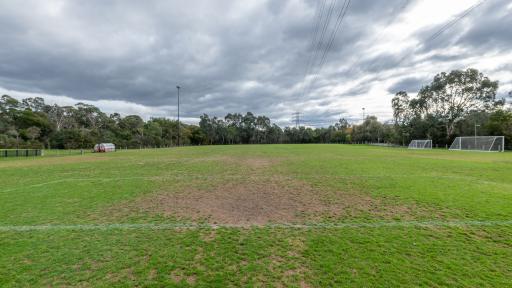 Side view of soccer pitch with white boundary line visible at the bottom. There are trees in the distance and soccer goals to the right.