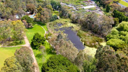 Aerial view of small wetland surrounded many large trees in shades of green. There is a grass area and walking paths to the left and a greenhouse in the distance.