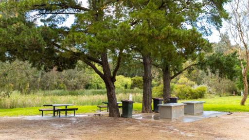 Two sets of tables with bench seats, two barbecues and three green wheelie bins sit in a dirt area under three large trees. There is thick shrub and trees in the background.