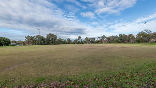 Oval sportsground with two soccer goals at the far end and tall trees on the horizon.
