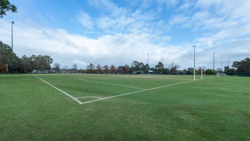 Corner view of soccer pitch with goals at each end and white line markings. There is a second soccer pitch in the distance and seven visible light posts.