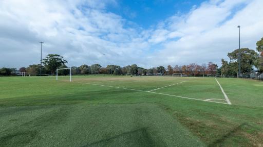 Corner view of soccer pitch with goals at each end and white line markings. There is a second soccer pitch to the left and three visible light posts.