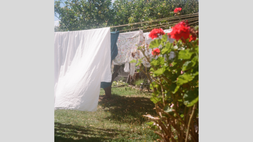 Horizontal washing line holding a white sheet and several shirts. The sun is shining and there is a rose bush to the near right.