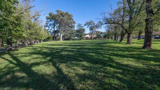 Grass area covered by a mix of sunshine and large tree shadows. There is a line of large trees to the right and straight ahead. Medium trees line a walking path to the left.
